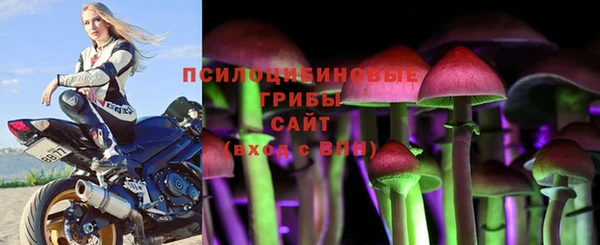 синтетический гашиш Богданович